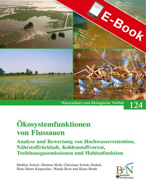 cover image of Ökosystemfunktionen von Flussauen